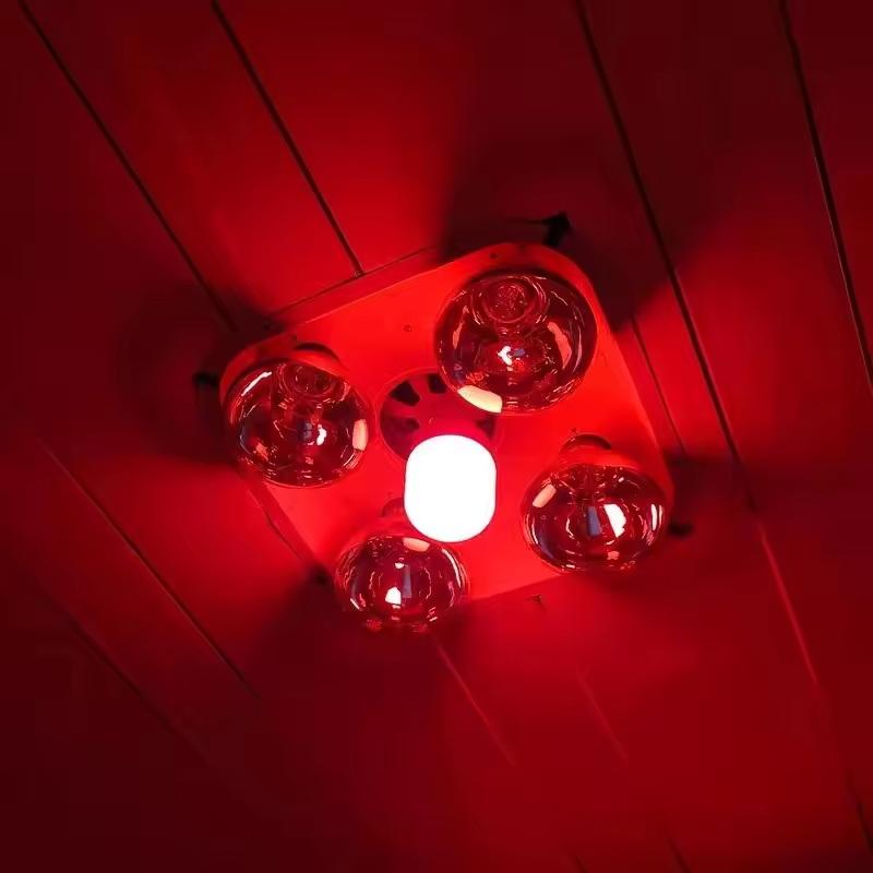 Lighting Christmas Decor - مصباح LED أحمر جديد عالي القدرة