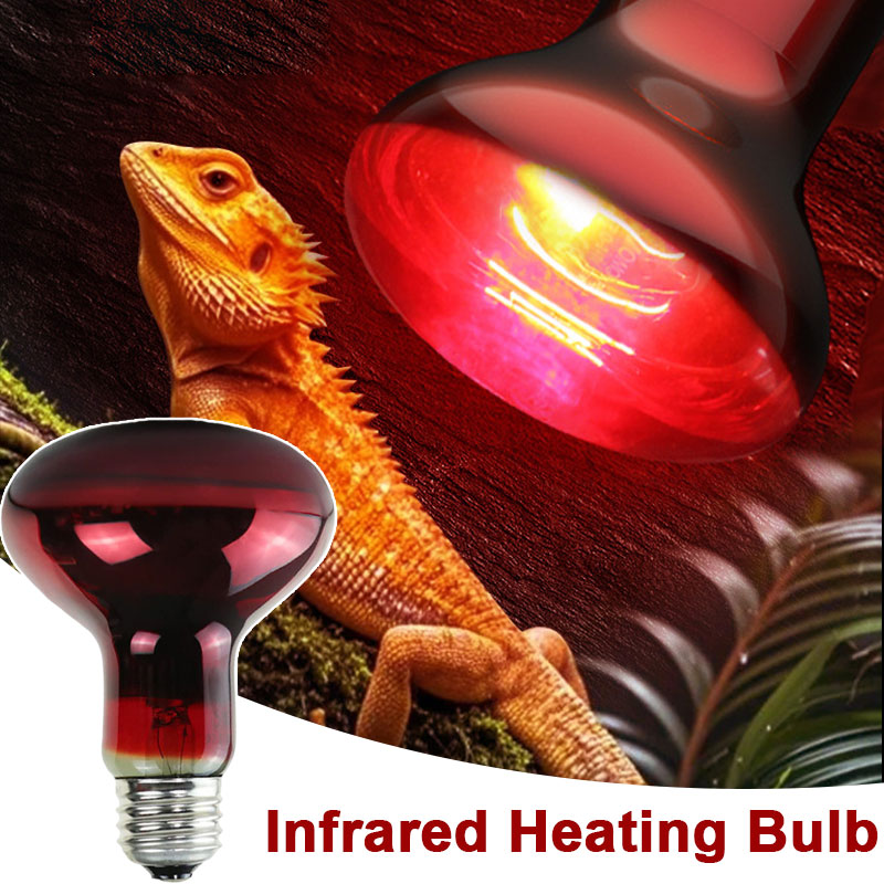 مصباح حراري للزواحف 100 فولت/2 - مراجعة Gecko Lighting & Decor وسعره