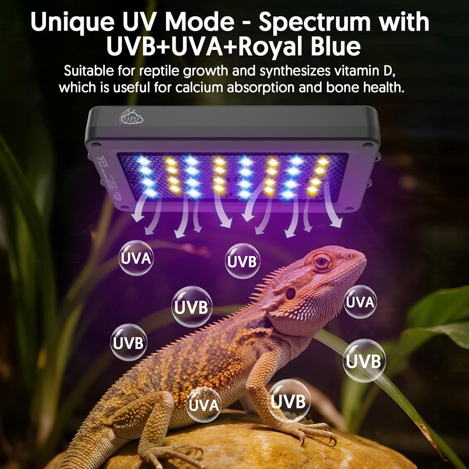 24 واط LED UVA UVB مصباح الزوا - مراجعة Gecko Lighting & Decor وسعره