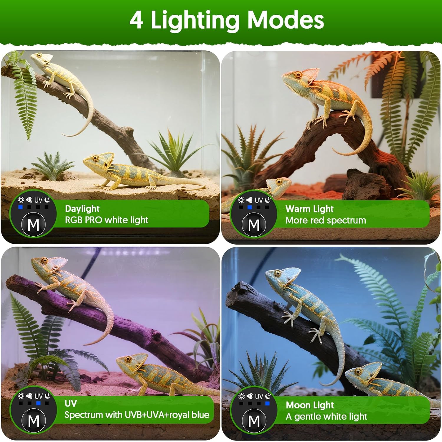 24 واط LED UVA UVB مصباح الزوا - مراجعة Gecko Lighting & Decor وسعره