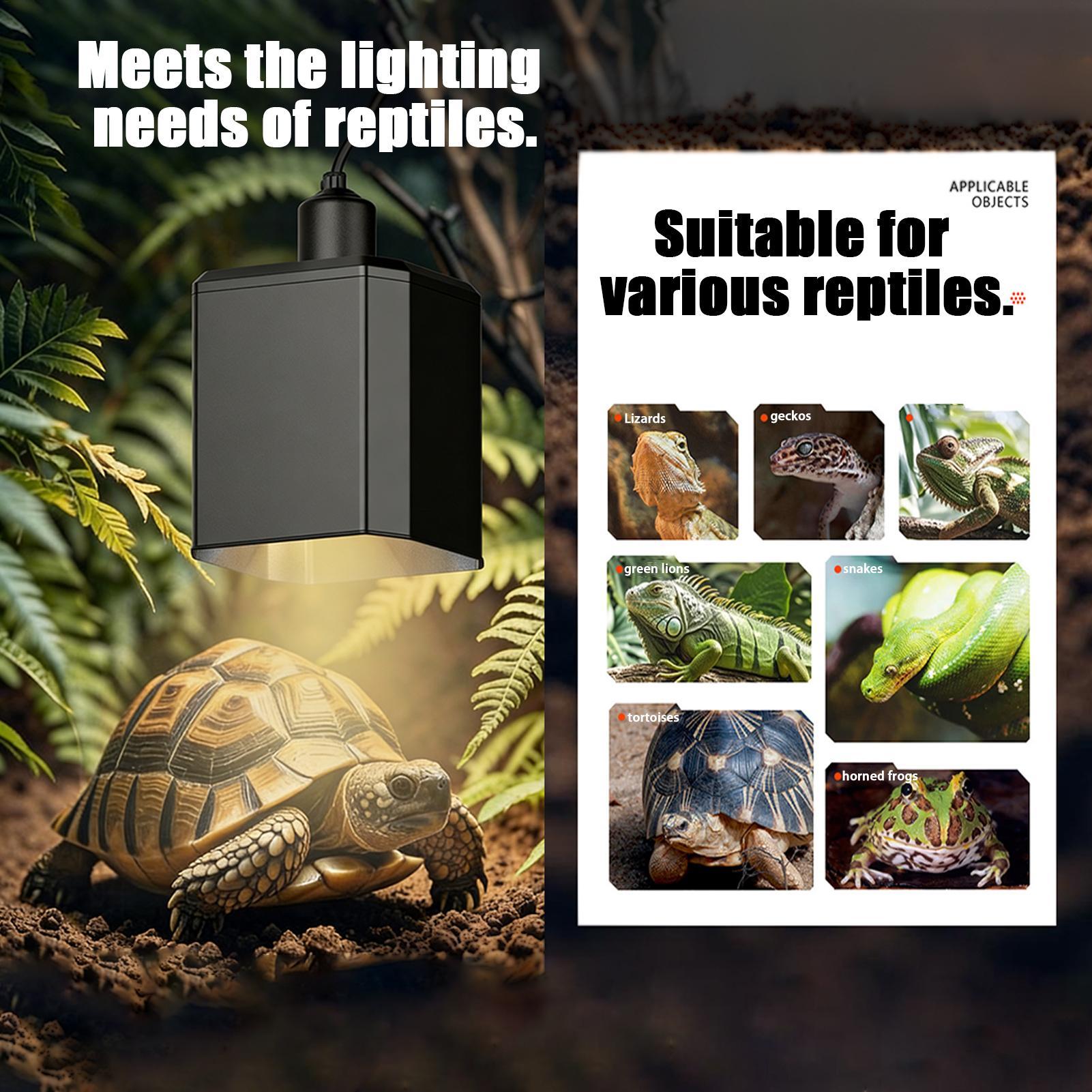 غطاء مصباح الحرارة للزواحف غطا - مراجعة Gecko Lighting & Decor وسعره